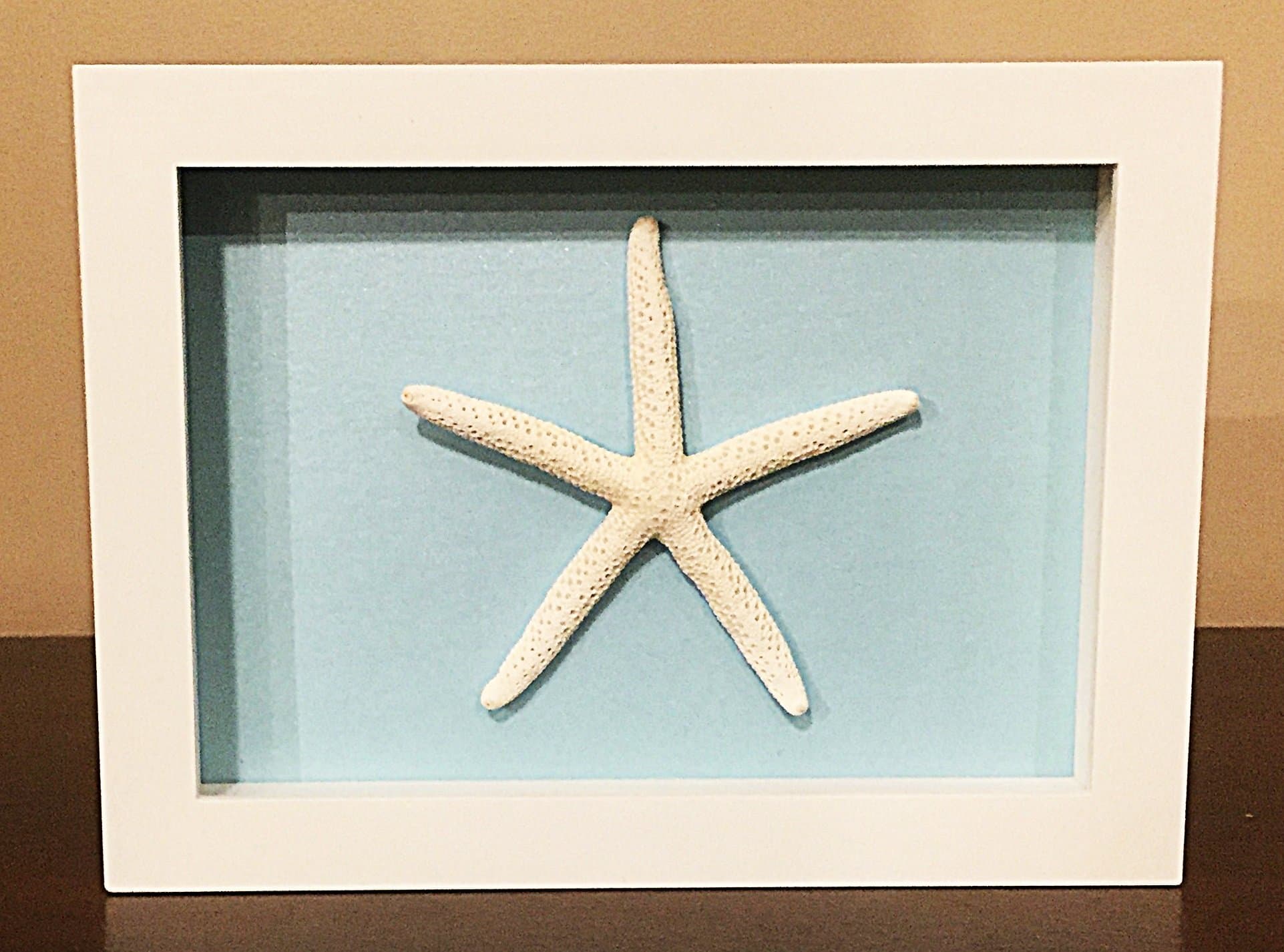 Starfish Shadow Box, Glass Enclosed, Many Background Colors, Ready to Hang (1, Blue)
