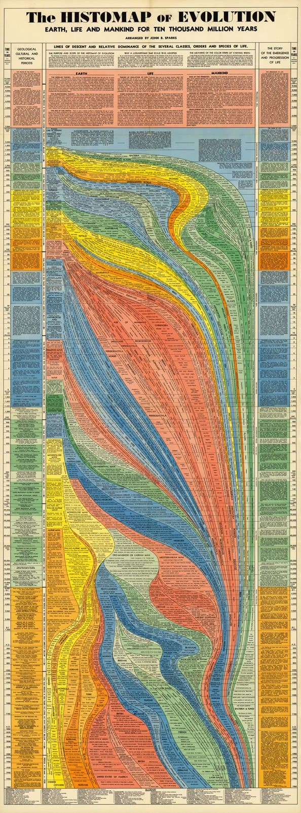 ArtCantHurtU HISTOMAP OF EVOLUTION- which talks about human evolution from a cell to apes to humans (era of evolution. paleontology) (16"x43")