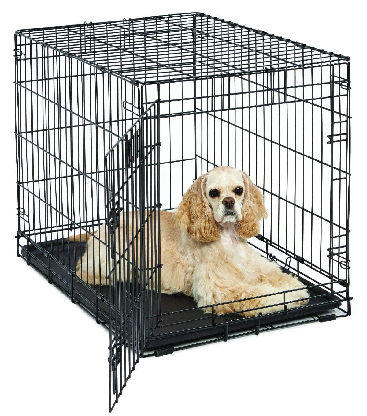 MidWest Homes for Pets Medium Dog Crate | Life Stages 30" Folding Metal Divider Panel, Floor Protecting Feet, Plastic Tray 30L x 19W 21H Inches, Breed