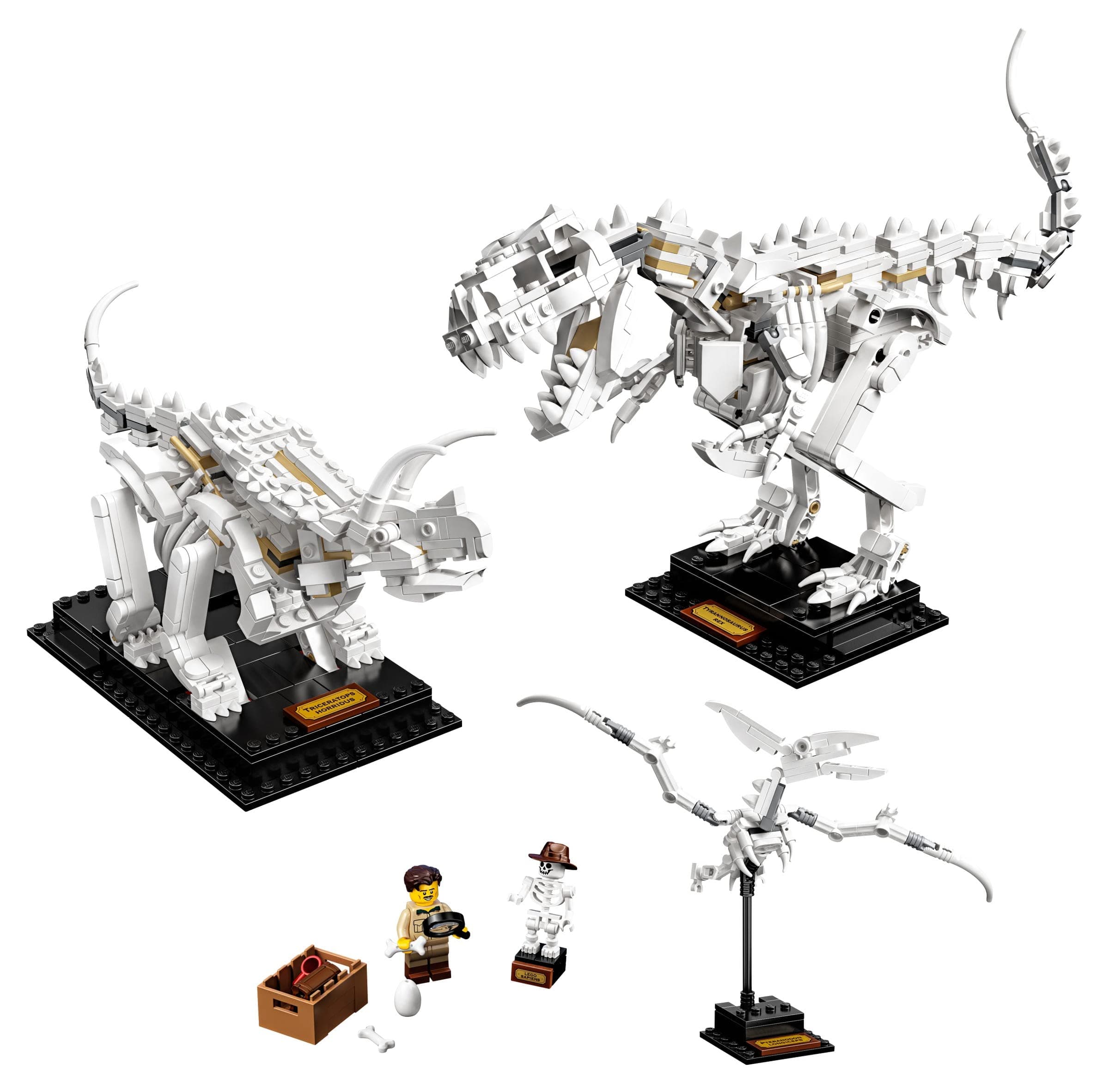 Ideas 21320 Dinosaur Fossils Building Kit (910 Pieces)