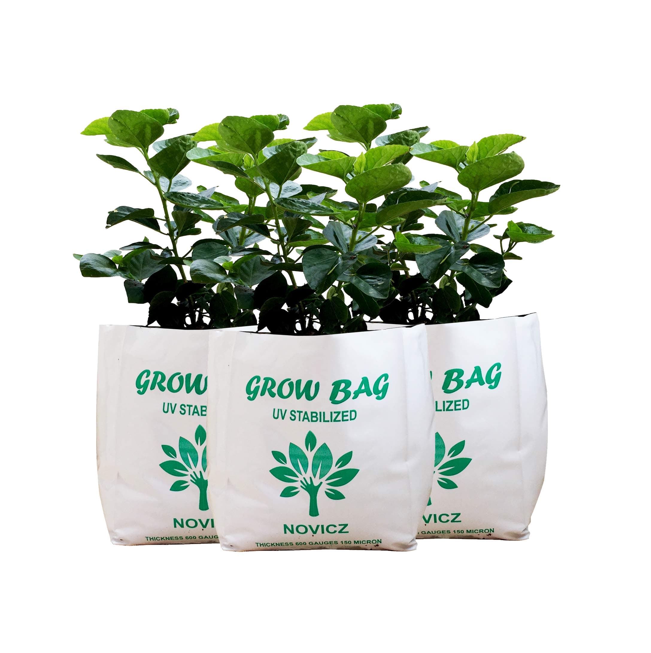 MJP-GROWBAG-30x16x16-PARENT (Set of 3)