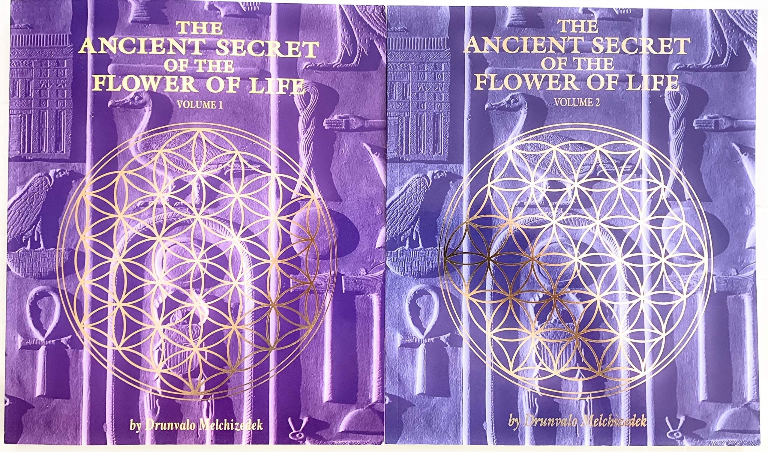 The Ancient Secret of the Flower of Life Volumes 1 & 2