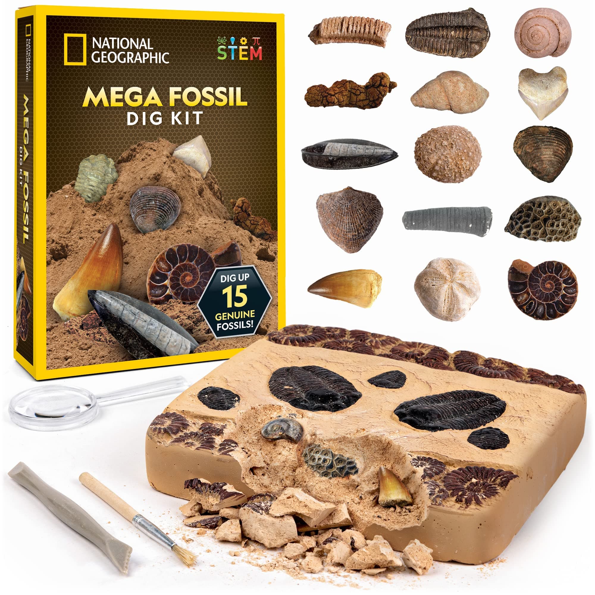 National Geographic Mega Fossil Dig Kit - Excavate 15 Genuine Prehistoric Fossils, Kids Fossil Kit, Educational Toys, Great Science Kit Gift for Girls and Boys (Amazon Exclusive)