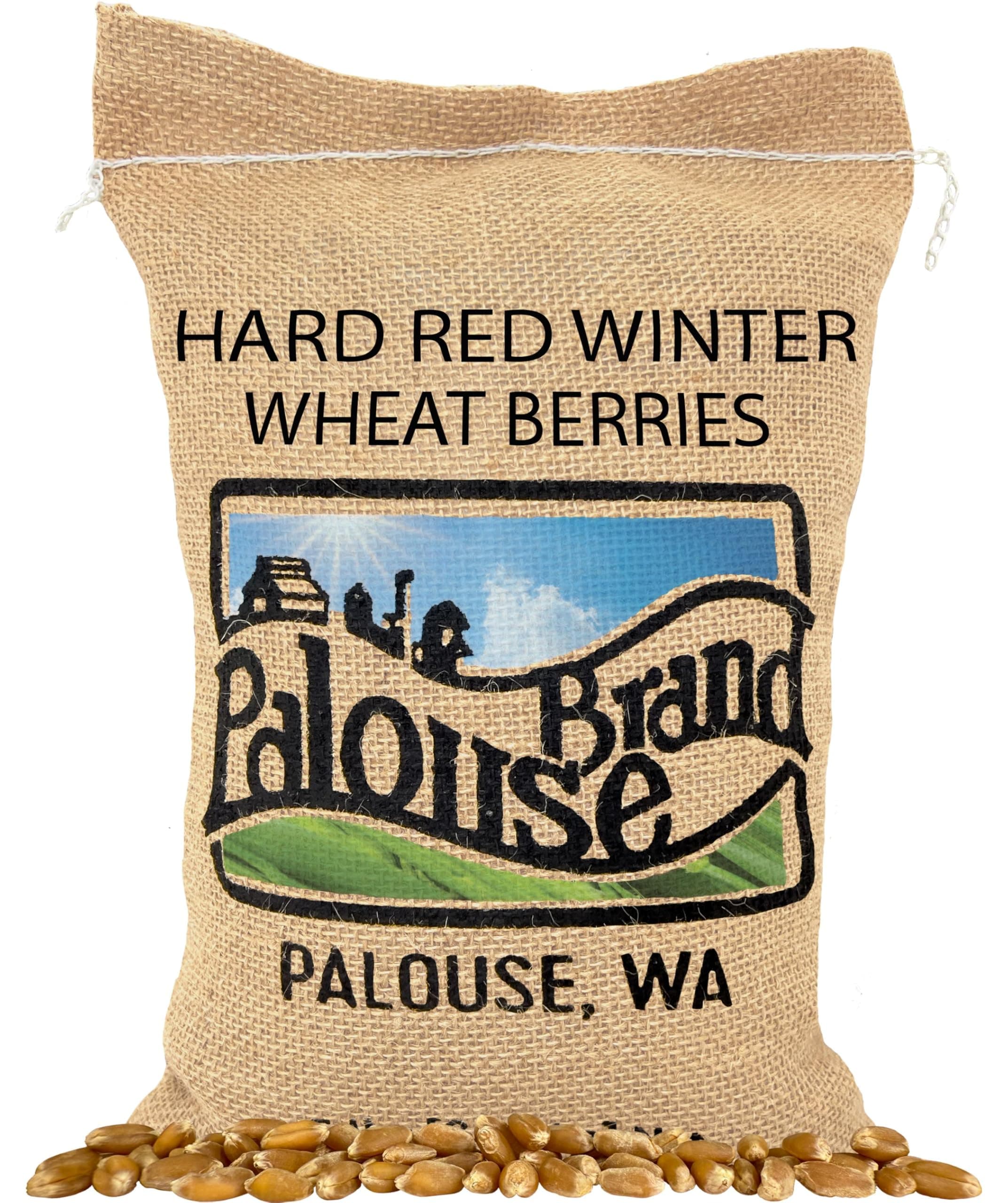 Palouse Brand Certified Glyphosate Residue Free Hard Red Winter Wheat Berries | 5 LBS | Family Farmed in Washington State | Non-GMO Project Verified | Certified Kosher Parve