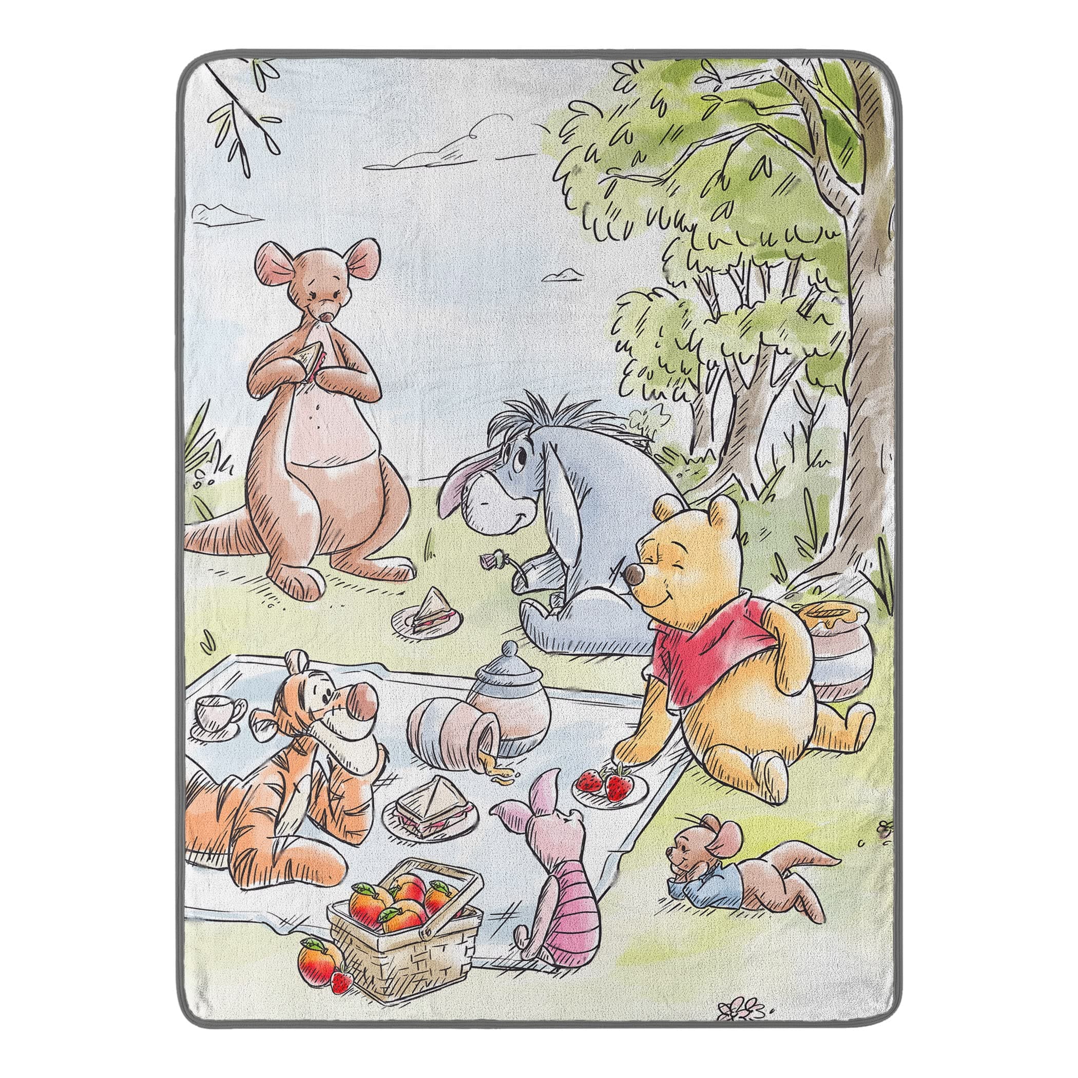 Northwest Disney's Winnie The Pooh Micro Raschel Throw Blanket, 46" x 60", Friend Picnic
