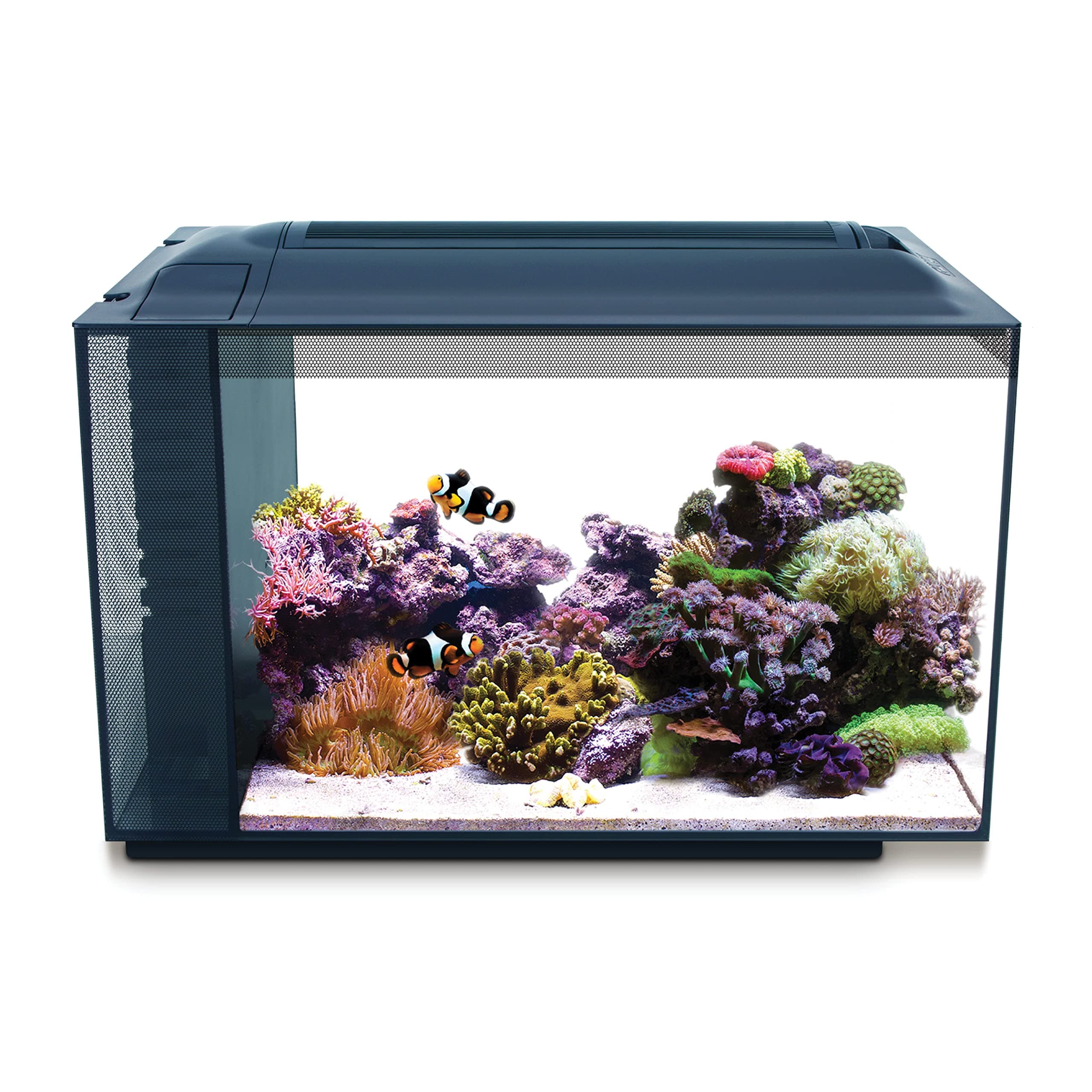 Toulifly Fluval 10531 A1 Sea Evo XII. Aquarium-Set