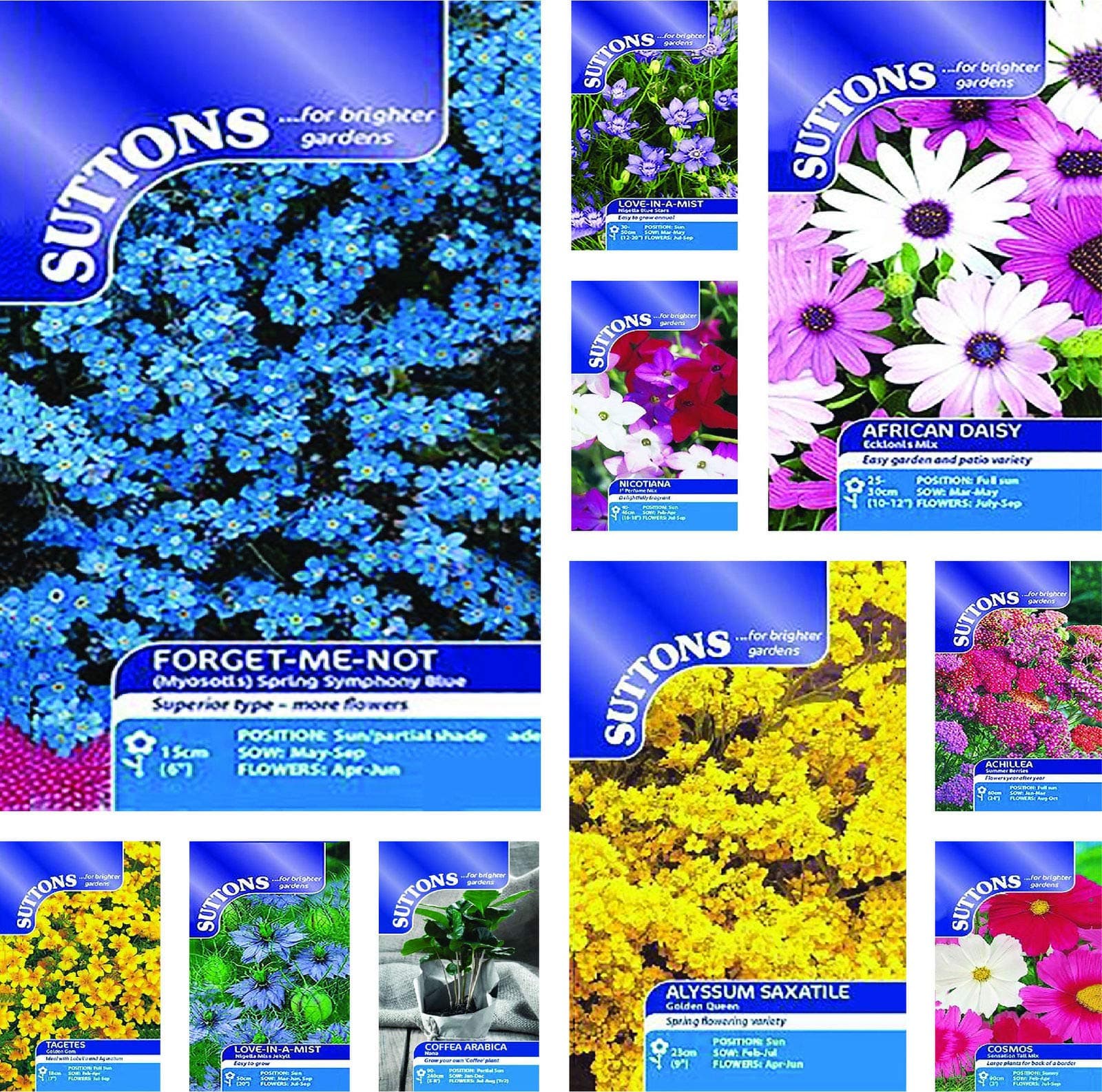 ScoutSeed Alyssum Wandering Star: Suttons Seeds Flower Seed Packets. Over 100 to Choose from