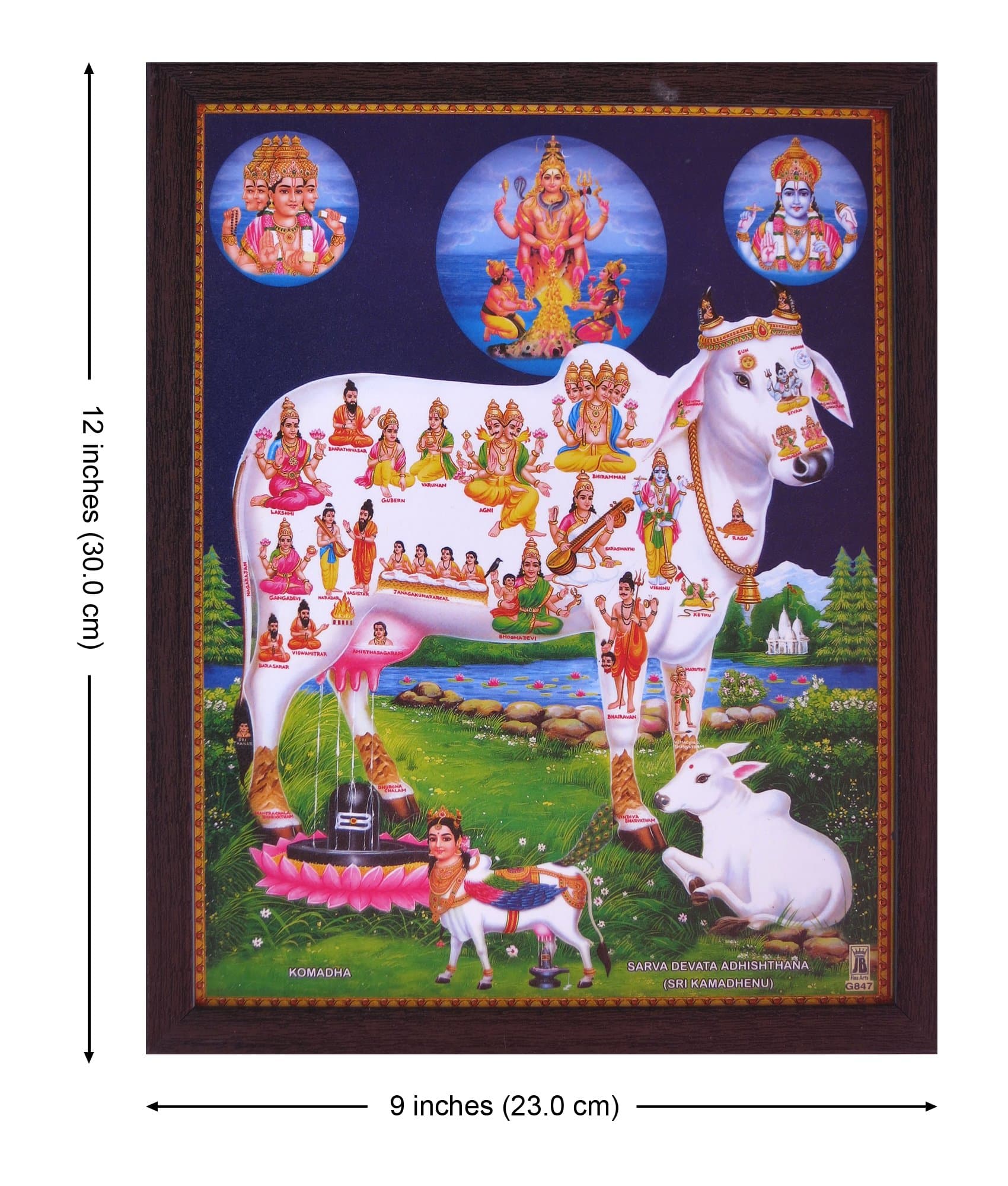 HandicraftStore Sarva Devote Adhishthana (Sri Kamadhenu),A Poster Painting with framing, Must for Hindu Religious and Worship Purpose