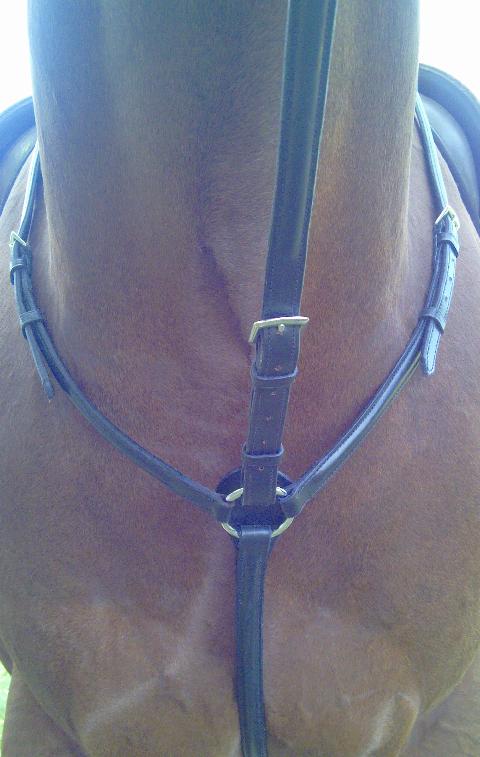 Shannon Raised Breastplate with Standing Attachment
