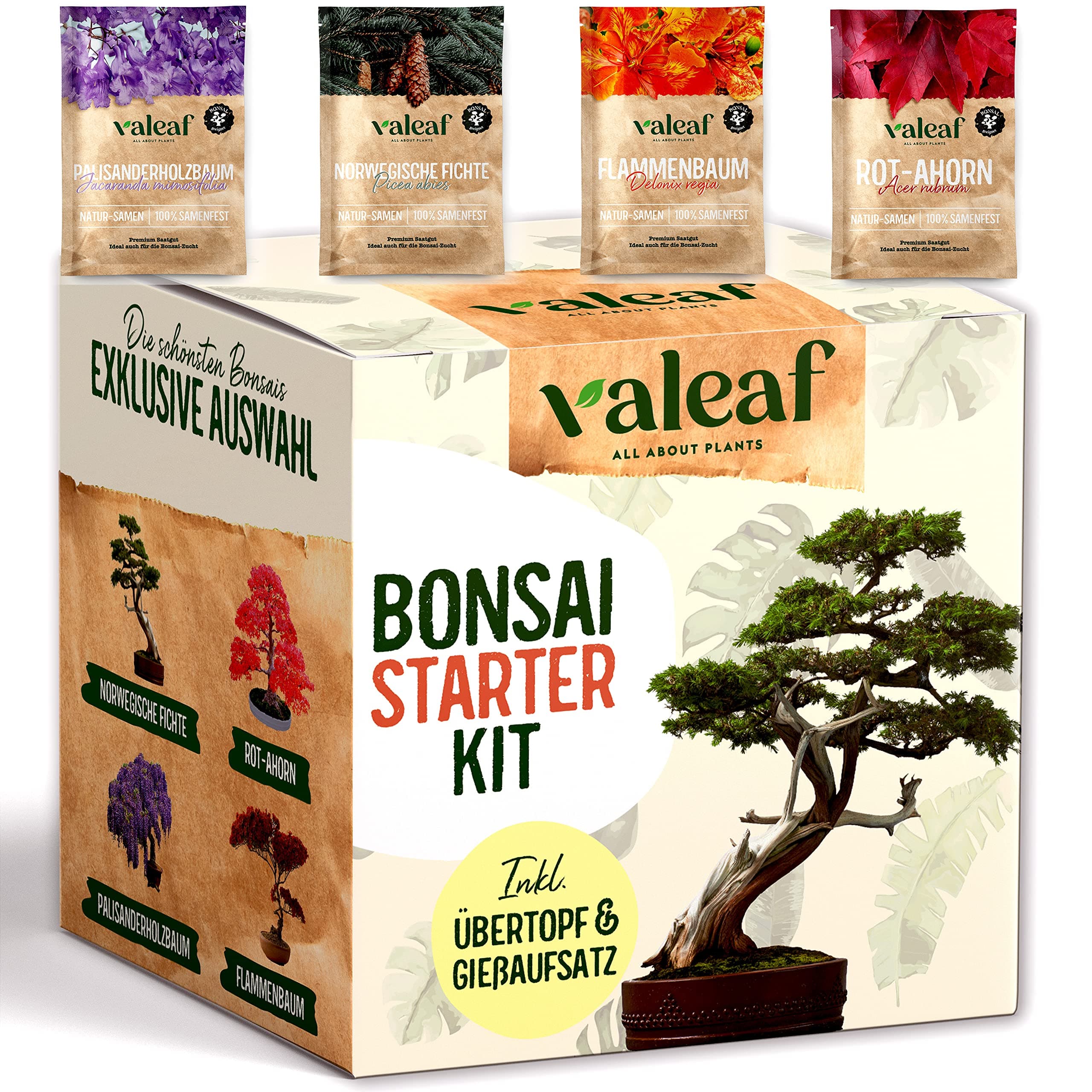 Valeaf Bonsai Starter Kit – Summer Sale, Grow Your Own Bonsai Tree – Growing Set Including 4 Varieties Bonsai Seeds & Accessories – For Beginners – The Ideal Gift for Plant Tree