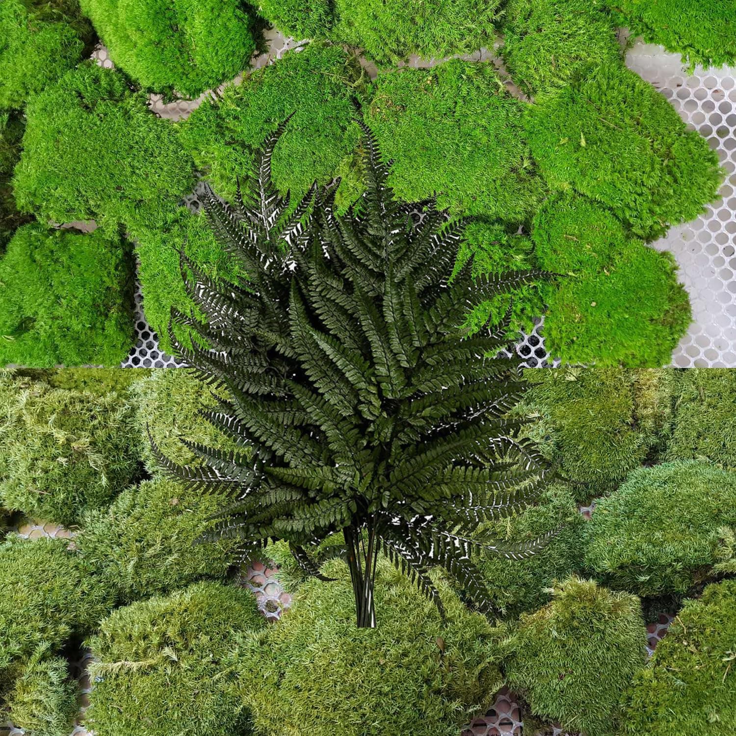 2 Color Mix Pack + 4 Color Fern Pillow Moss Bun Cushion Natural Decorative Green DIY Kit Art Wall Decor Florist Decor Easter Table Decor Wedding(1.5 sq.ft, Green-A,Green-B, 4 Color Fern)