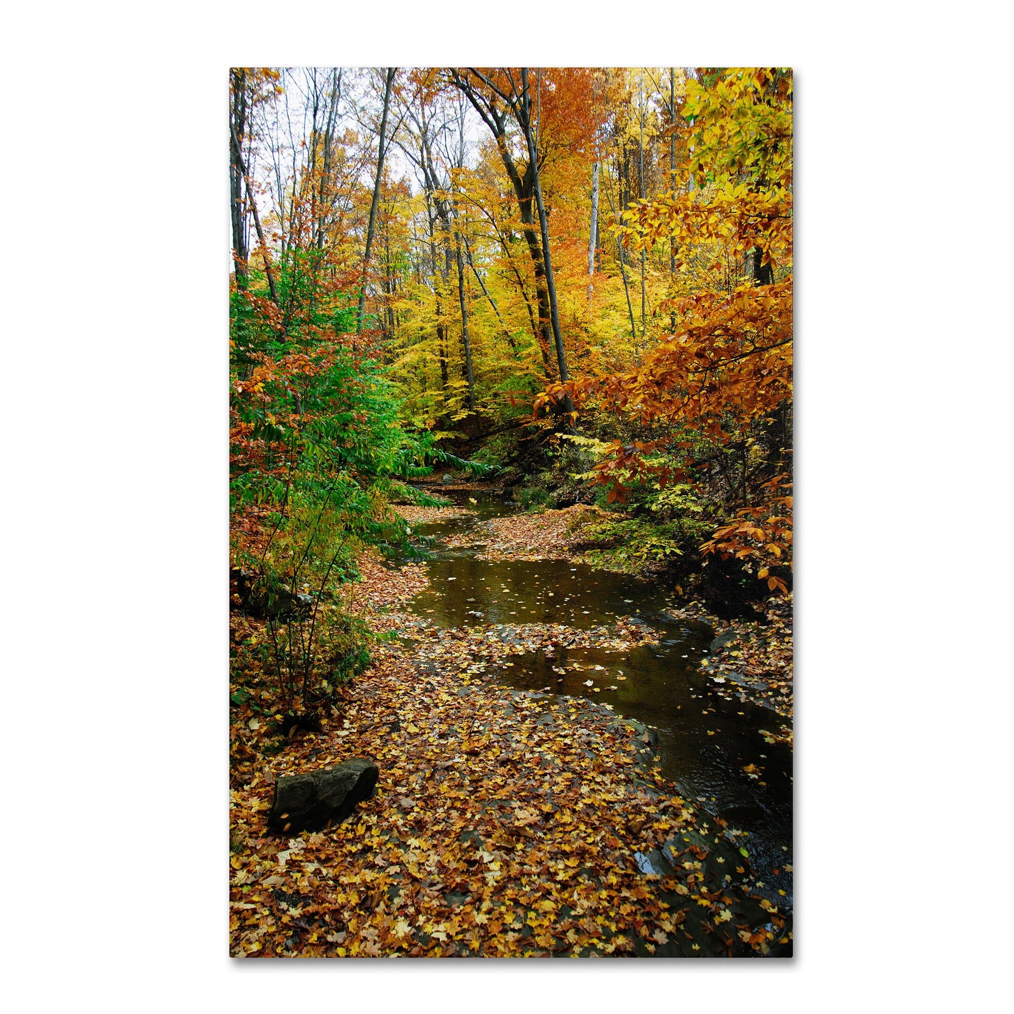 Autumn Stream by Kurt Shaffer, 22 by 32" Canvas Wall Art