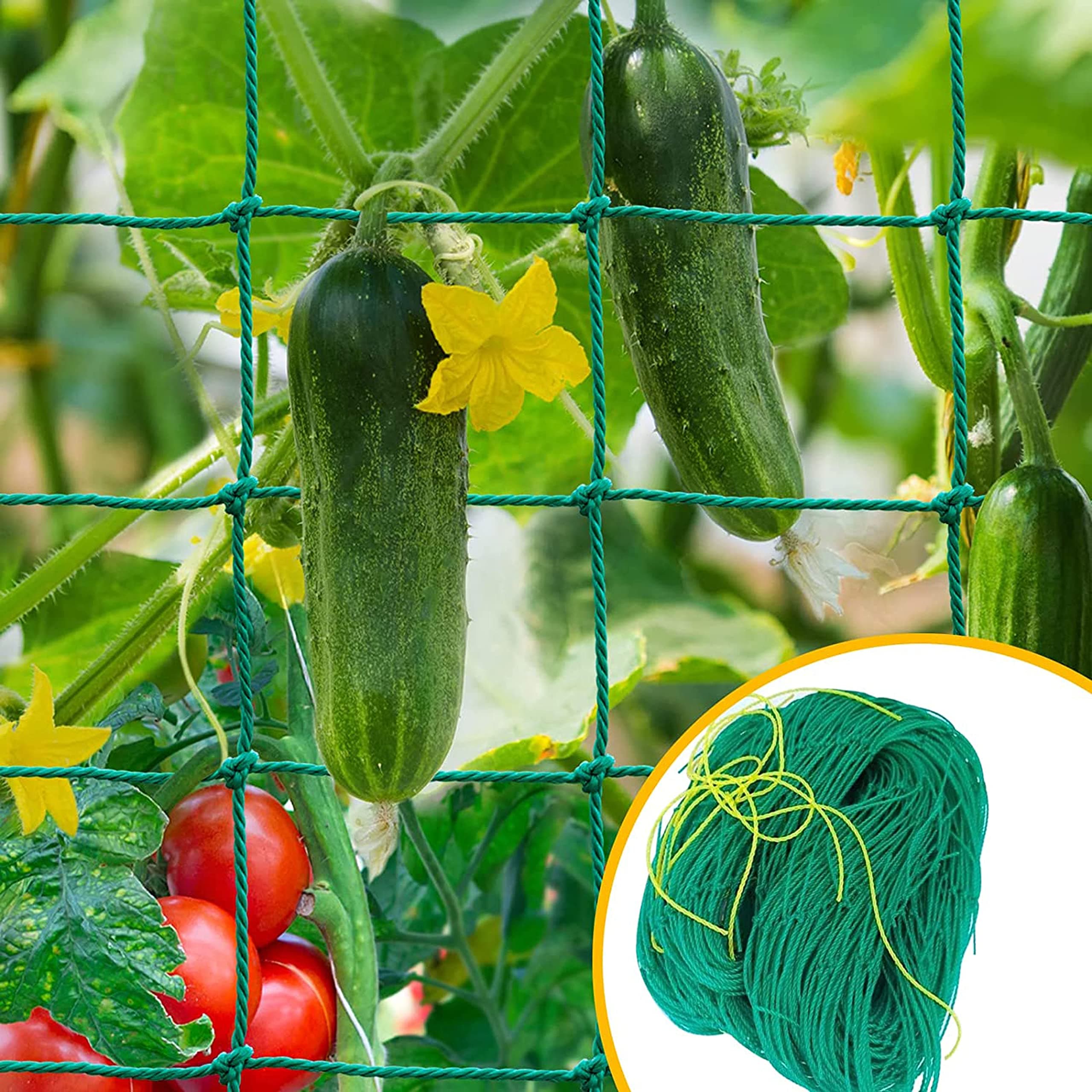 Plant Climbing Net & Creeper Net Trellises Netting for Plant Vegetable Climbing Growing (6 Feet X 3 Feet)
