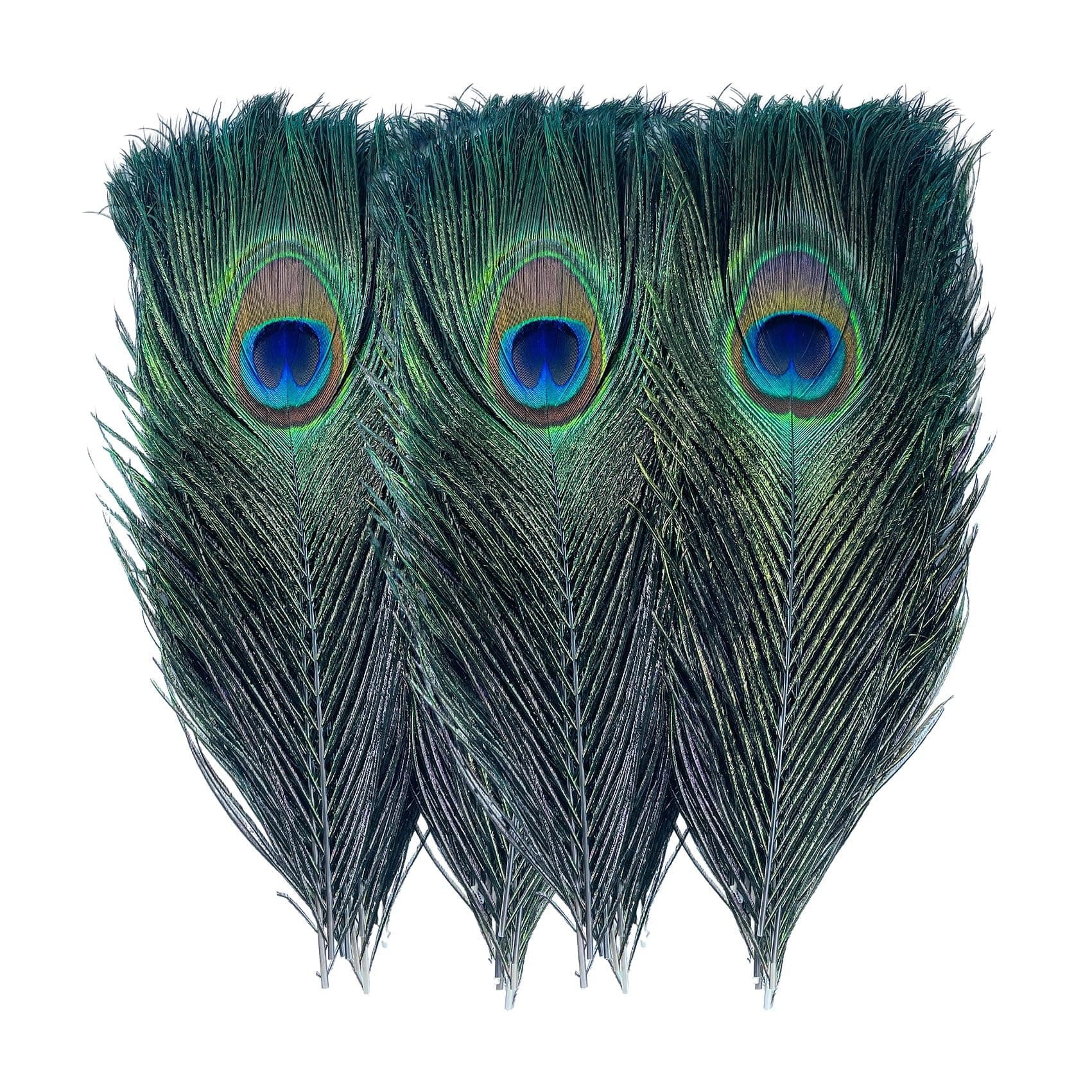 Bulk Natural Peacock Feathers-15Pcs 10-12in (25-30 cm),Long Peacock Feathers for Vase Decorations Party Decor and DIY Crafts