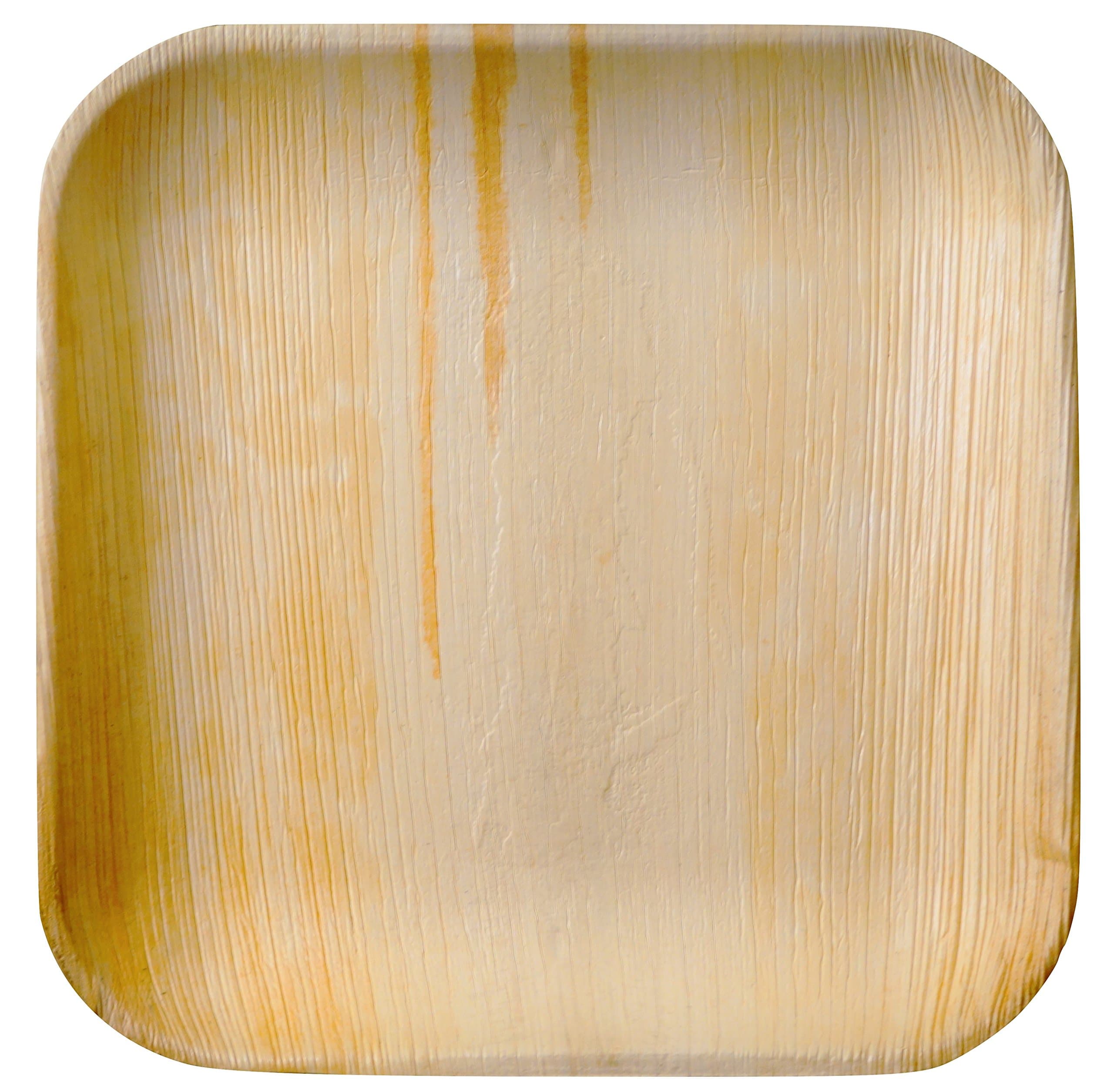 Party Plates Disposable - Elegant, Sturdy, 100% Natural, 100% Compostable, BioDegradable ( 10" Inch Square, Pack of 25) Awesome For Parties, Weddings, Baby Shower, BBQ and Special Events