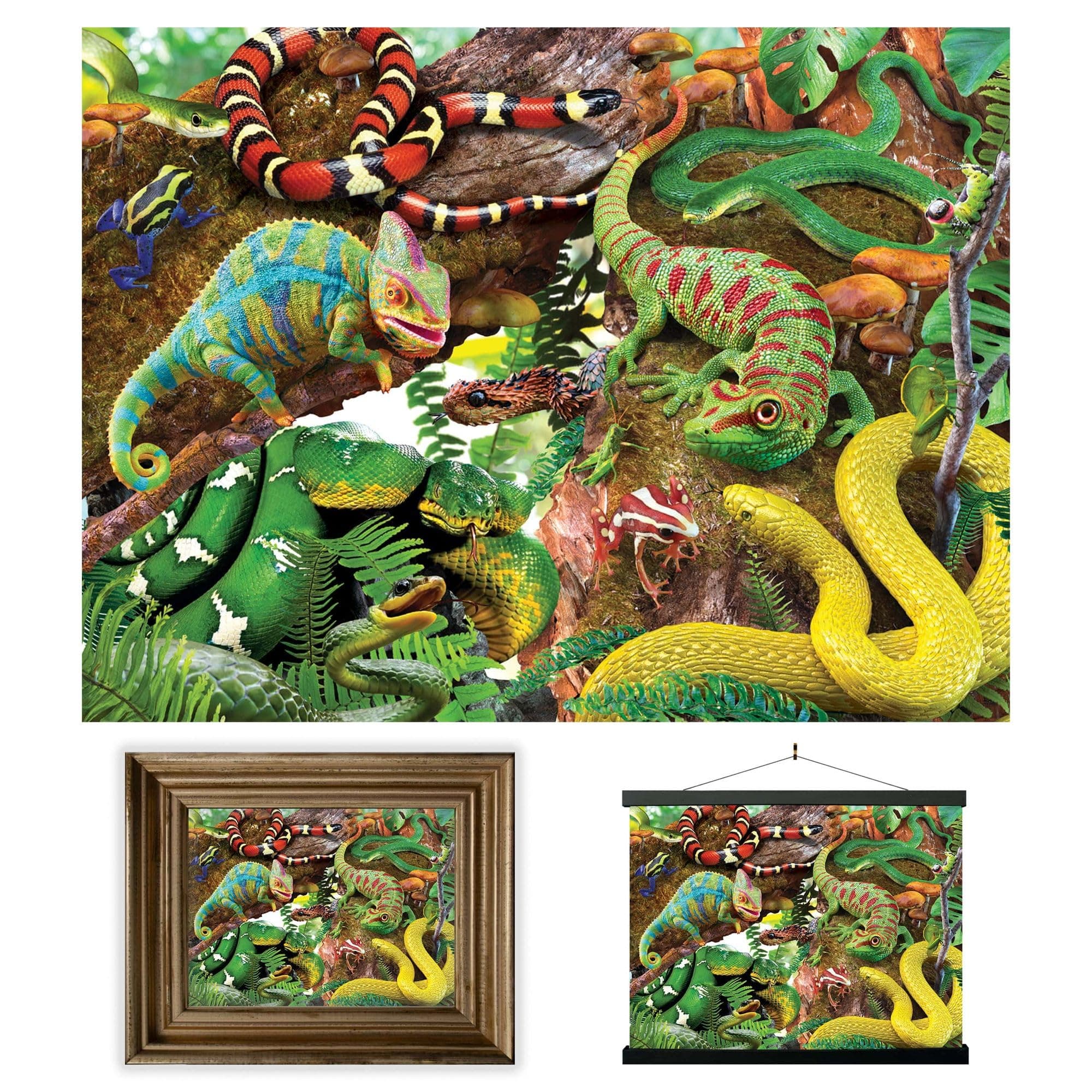 3D LiveLife Lenticular Wall Art Prints - Curious Creatures from Deluxebase. Unframed 3D Wildlife Poster. A perfect wall filler. Original artwork licensed from renowned artist, David Penfound