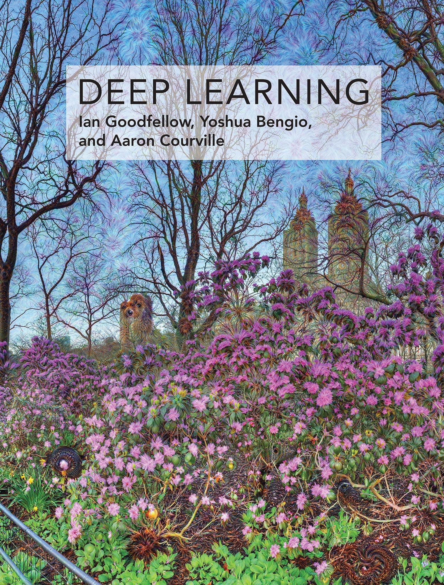 MIT Press Deep Learning