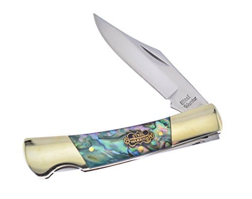 STEEL WARRIOR Smooth Resin-coated Genuine Abalone Barracuda Stainless Pocket Knife Knives