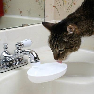 Turns a Faucet Into a Fountain for Your Cat