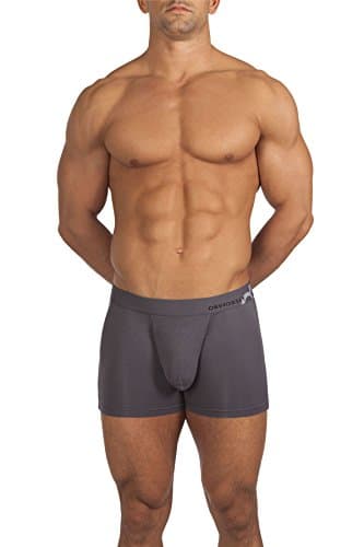 Obviously Apparel Basics Collection - AnatoMAX Boxer Brief 3 inch Leg - Graphite - Large