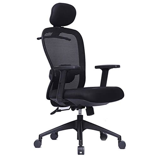 Esta ZX High Back Ergonomic Chair with Headrest - Black