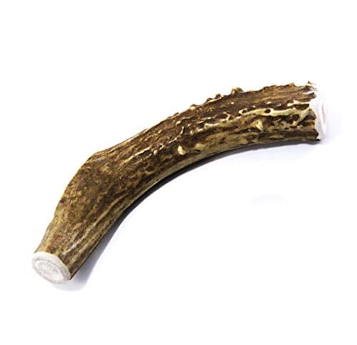 Deer Antler Dog Chew - Large Whole Deer Antler