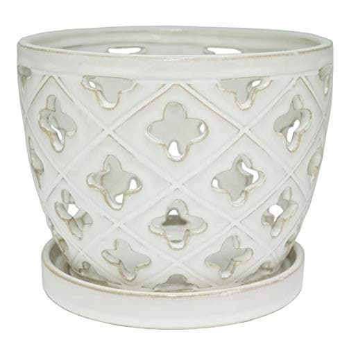 8 in. Orchid Pot with Saucer White