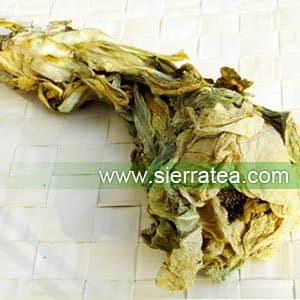 Sierra Tea Dried Wild Tianshan Snow Lotus Flowers (Wild Saussurea) (One Flower), 野生天山雪莲