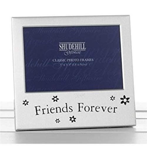 Viceni 5" x 3" Friends Forever Photo Frame Gift For Friend Occasion Present 73484, Silver