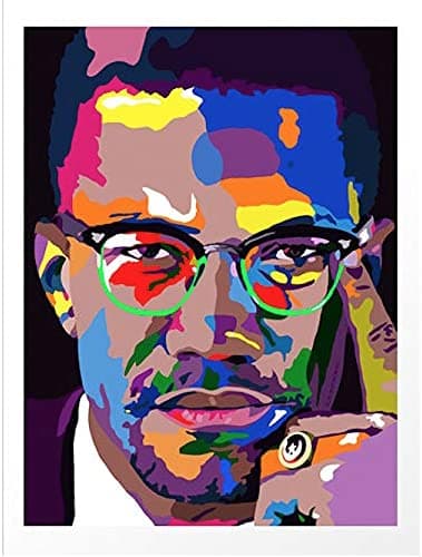 By Any Means - Malcolm X portrait art - Limited Edition Giclee Art Print & Wall Decor