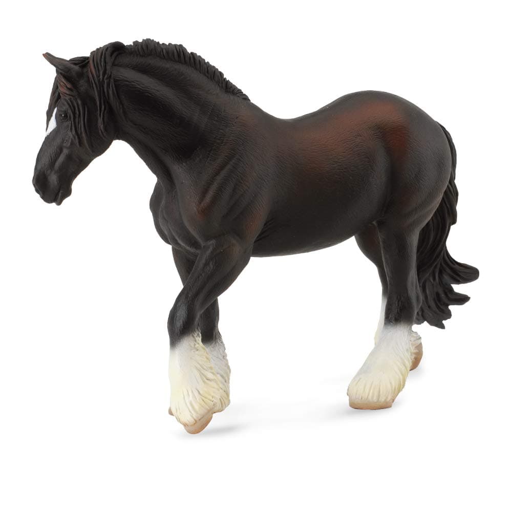 Shire Horse Mare, Black