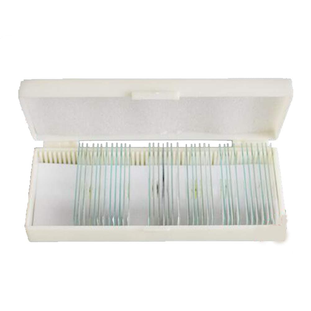 BIUYYY 42 Pcs Parasitology Microscope Slides, Microscope Slide Specimen for Biology Science Study