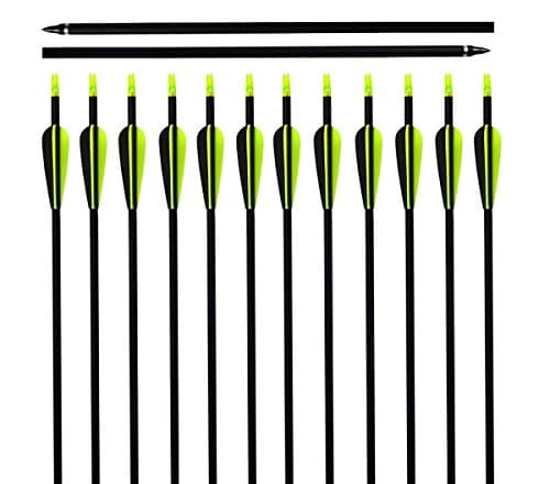 ARCHERY SHARLY 31" Carbon Hunting Arrows Targeting Practice Arrows,3" Plastic Vanes Screw-in Replacement Tips for Recurve & Traditional Bow & Longbow (12 Pack)