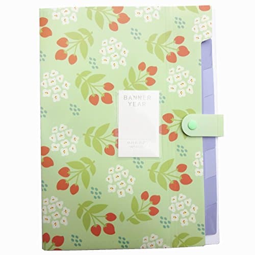 YOOFUN 8 Pockets Portable Accordion Document Expanding File Folder,Letter Size and A4 File Organizer (Green1)