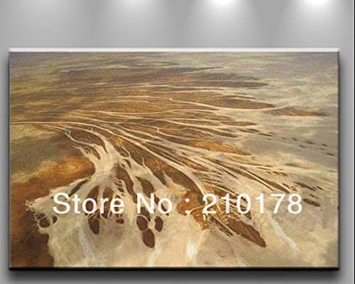Handmade Textured Oil Painting On Canvas Modern Best Art Flower Oil Painting Original Directly From Artis Xd1-132