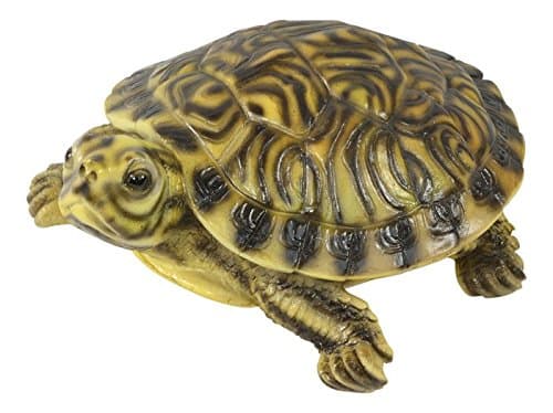 Vivid Arts Terrapin Pet Pal