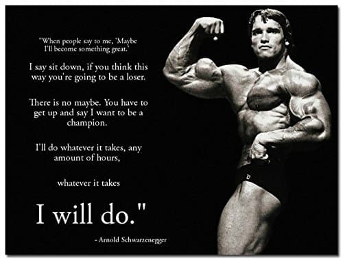 24X36Inch Arnold Schwarzenegger Motivational Poster - I Will Do Whatever It Takes 24X32