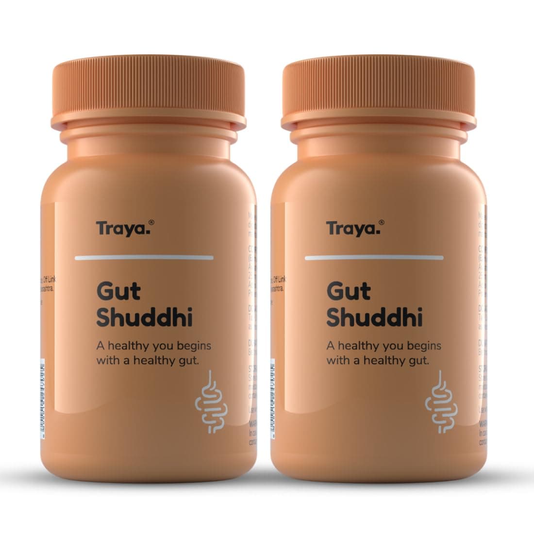 Gut Shuddhi - Ayurvedic Digestion Herbs, All Natural Ingredients, For Constipation And Gut Health, 60 Tablets, Pack Of 2