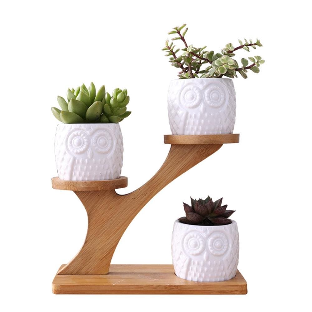 Besteffie 3PCS Succulent Pots & Bamboo Flower Pot Stand, Ceramic Round Owl Succulent Plant Pots & 3 Tier Treetop Shaped Mutifunctional Holder