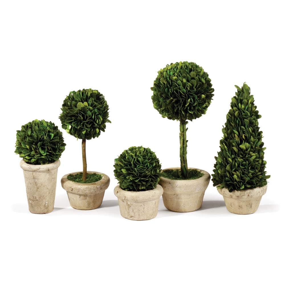 Traditional Garden Boxwood Topiaries In Pots, Set Of 5 Largest: 4.5 x 4.5 x 11.25 Smallest: 4 x 4 x 4.75 Green