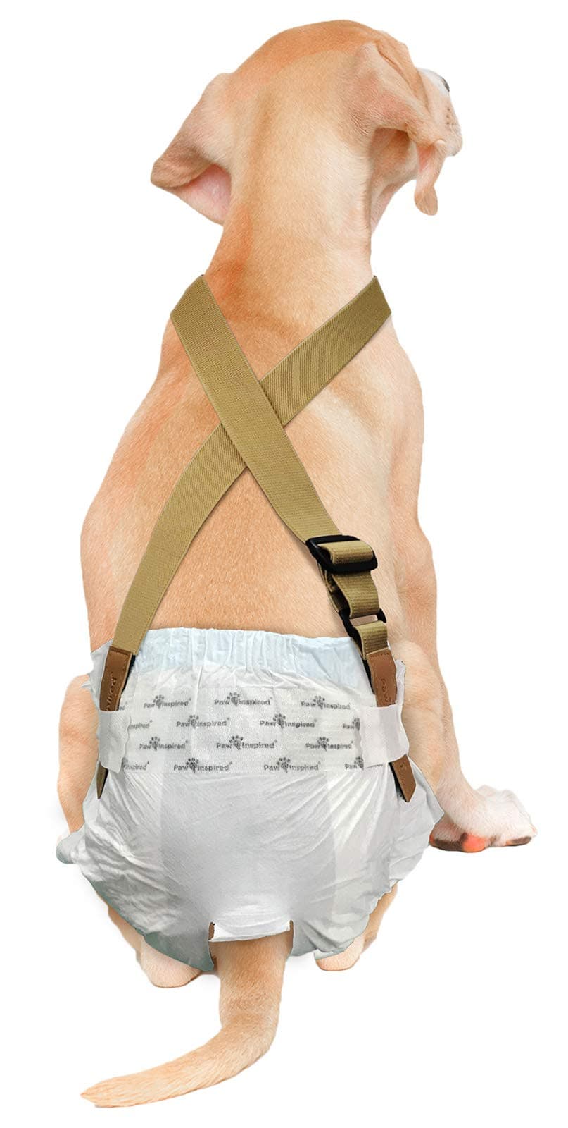 Paw Inspired Dog Diaper Suspenders with Velcro Fasteners | Stretchy Adjustable Suspenders for Female and Male Disposable and Washable Diapers | Fits Small, Medium and Large Size Pets (S/M, Brown)