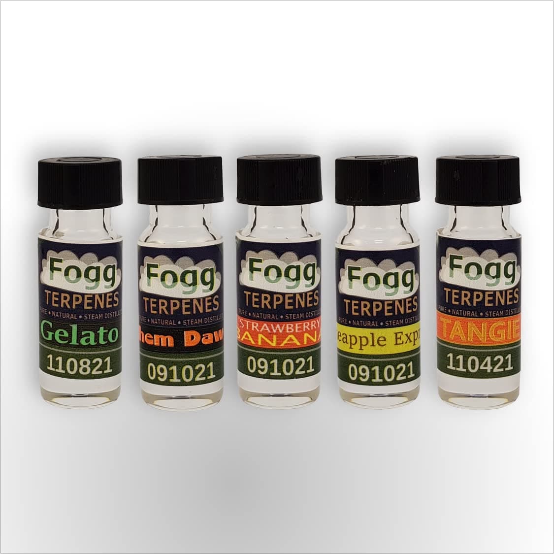 FOGG Terpenes - Fruit Salad (1 ml)