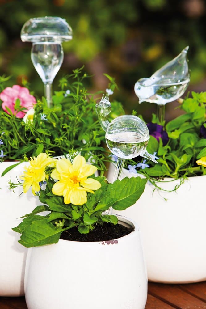 Whimsical Friends Shaped Water Bulbs - Set of 3