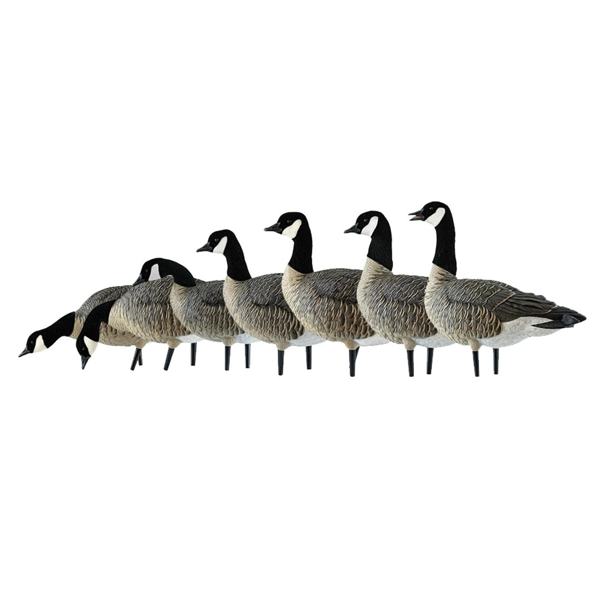 Avian X AXF Lessers Full Body Goose Hunting Decoys with12 Slot Bag, Rugged Durability, & Full Body Equipment for Decoys & Hunting Purposes, 12 Pack