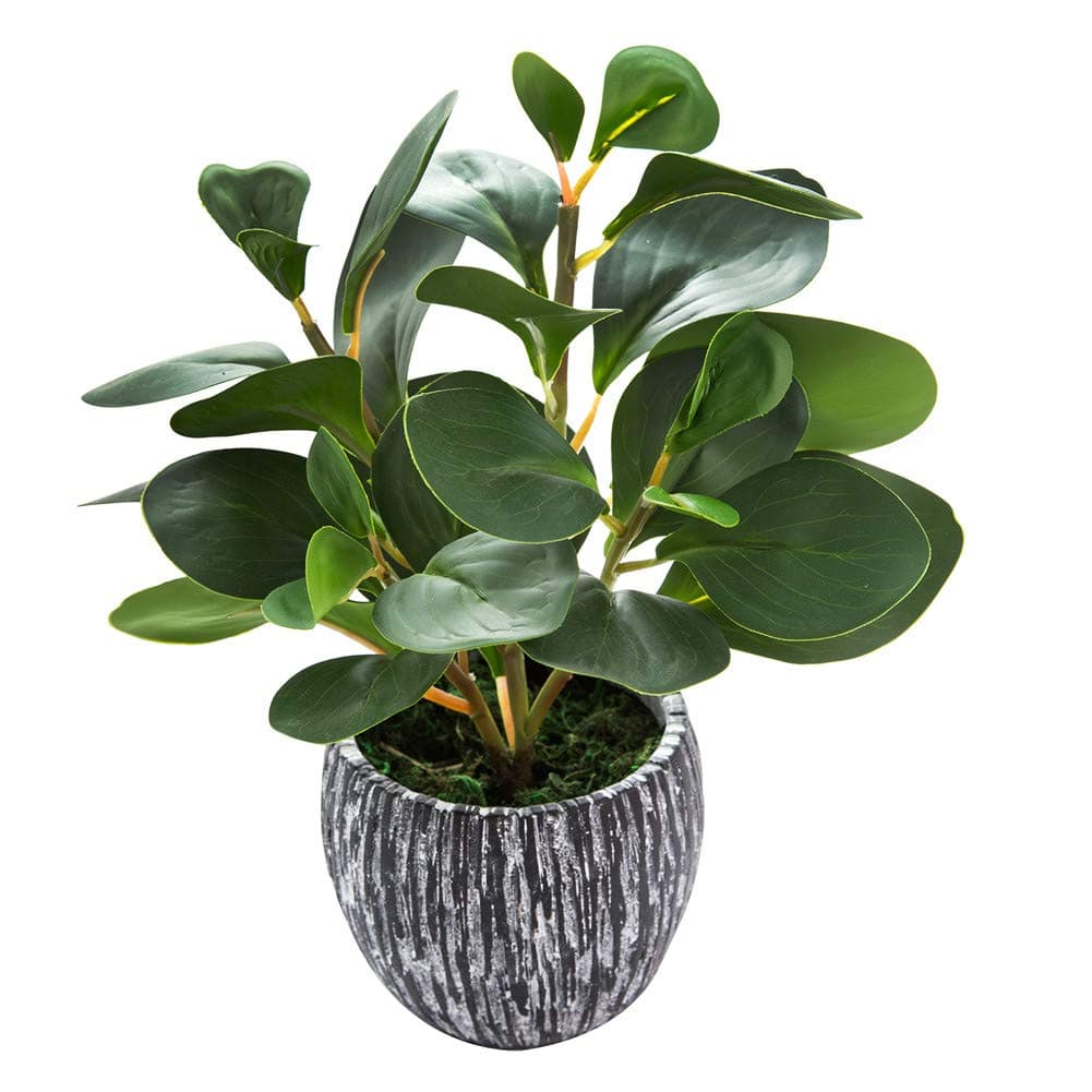 AlphaAcc Artificial Plants Real Looking and Touching Fake Plant Evergreen Plastic Fiddle Leaf Fig Plant with Rustic Black Cement Planter for Housewarming Office Desk Decor