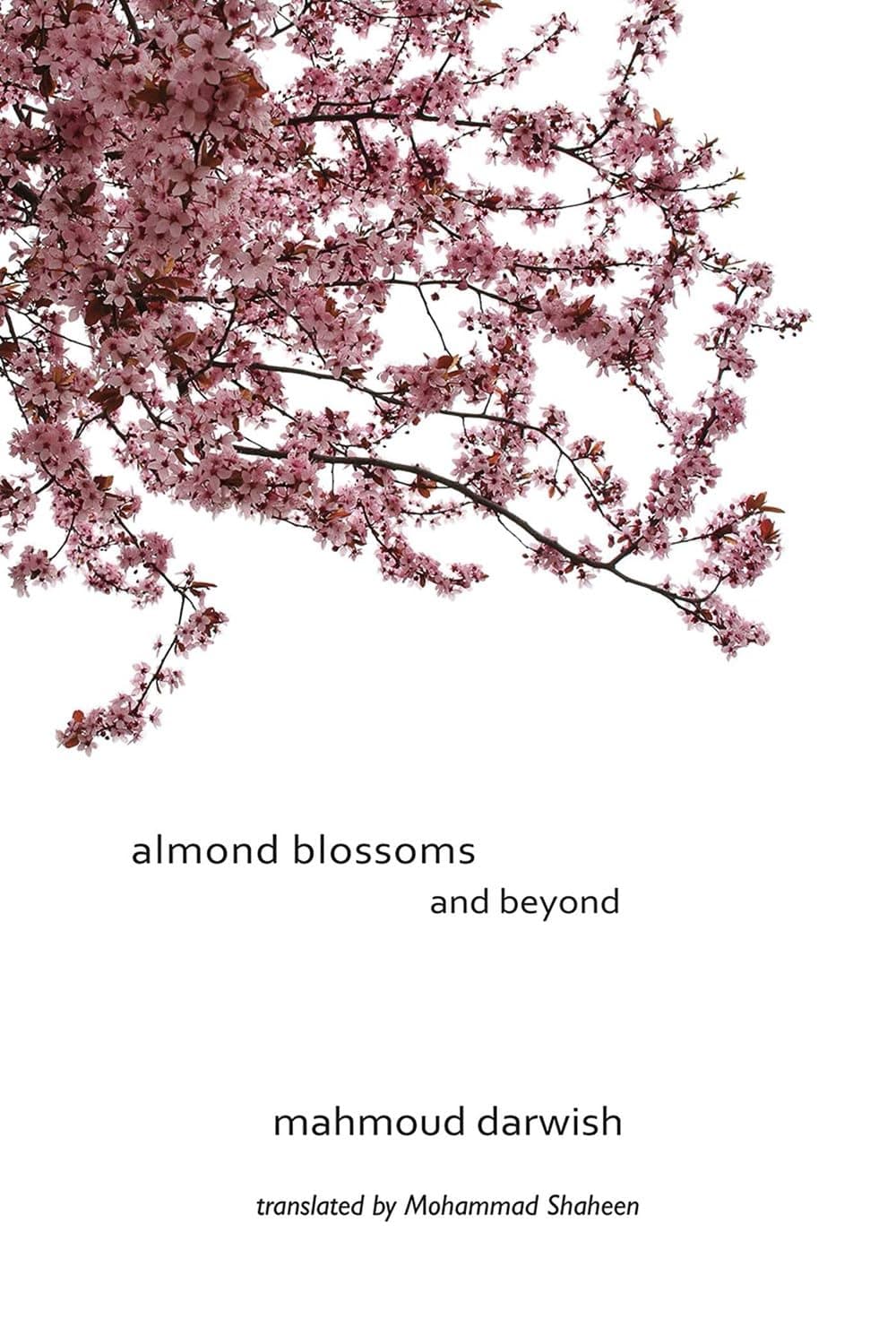 Almond Blossoms and Beyond Paperback – September 1, 2010