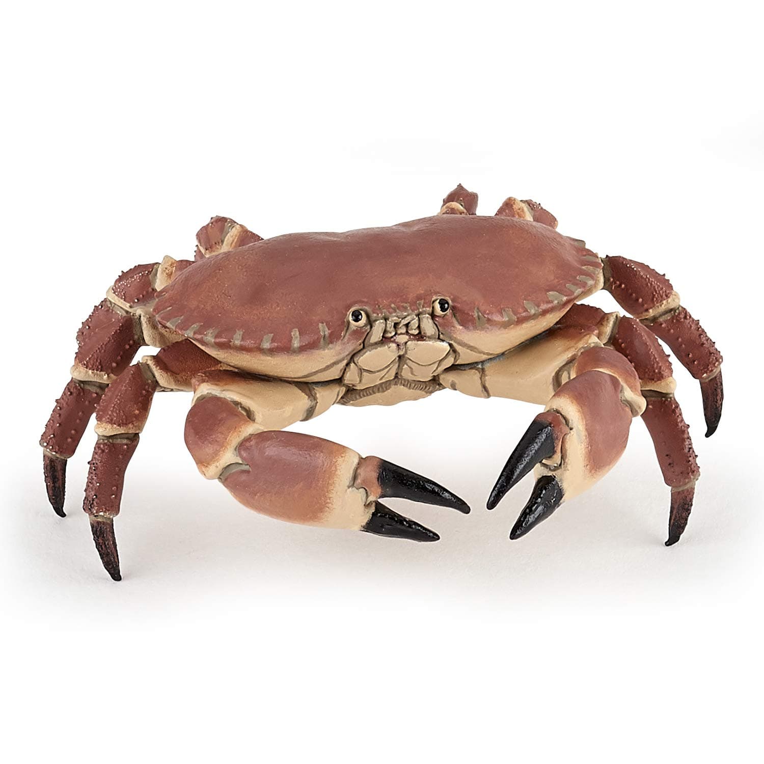 Papo 56047 Crab MARINE LIFE Figurine, 56047 Crab