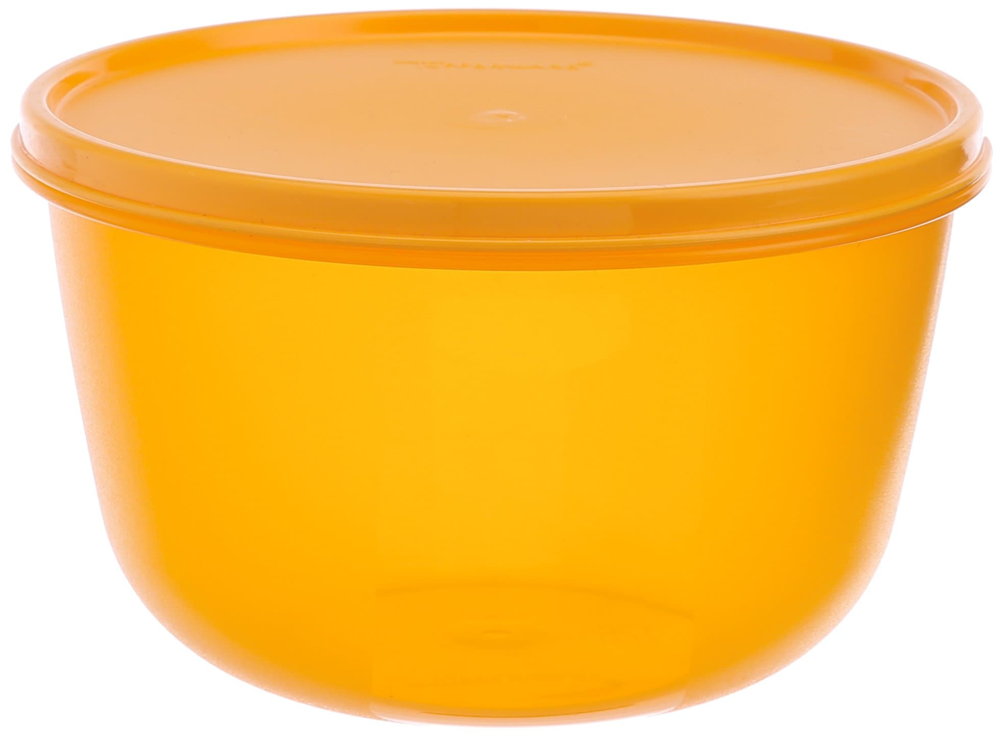 Plastic 2L Bowl For Idly Dosa Batter, Snacks, Fruits, Cookies, Curd, Blue