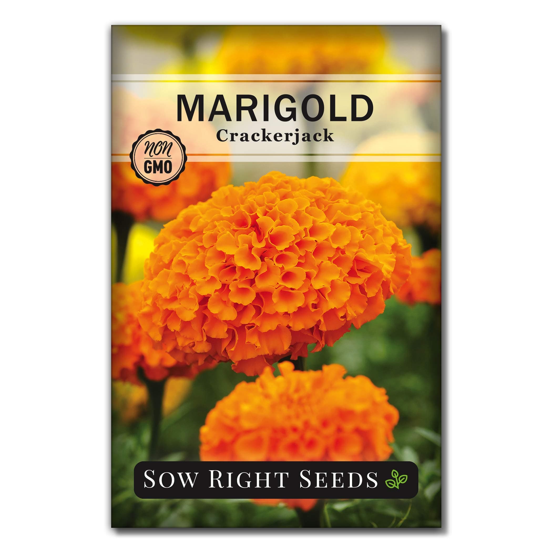 Sow Right Seeds Crackerjack African Marigold Seeds for Planting - Non-GMO Heirloom Seed Packet with Instructions - Companion Plant - Orange & Yellow Blooms Attract Pollinators, Deter Mosquitoes (1)
