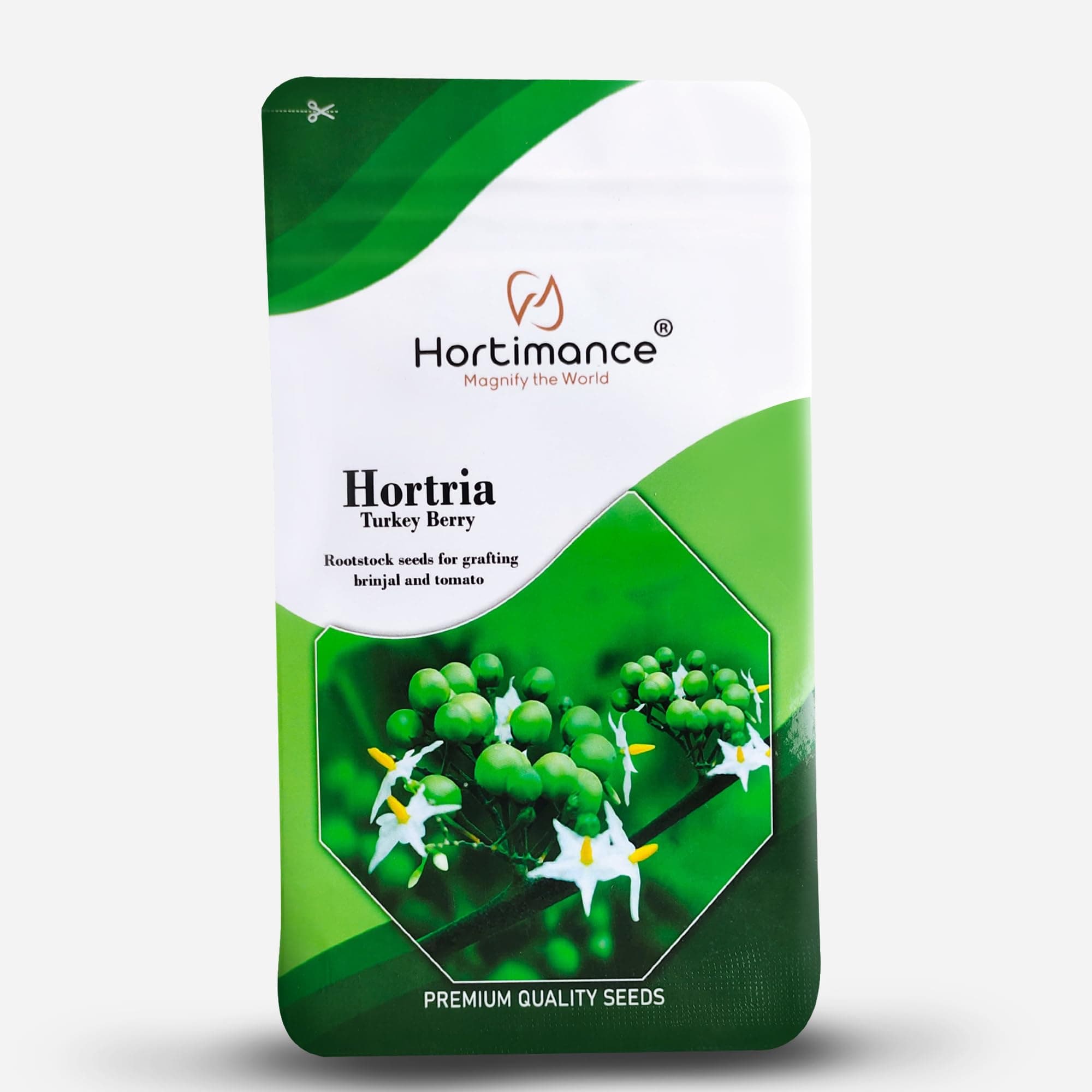 - Hortria Turkey berry seeds used for grafting brinjal and tomato, 10 grams, Contains 10000 seeds.